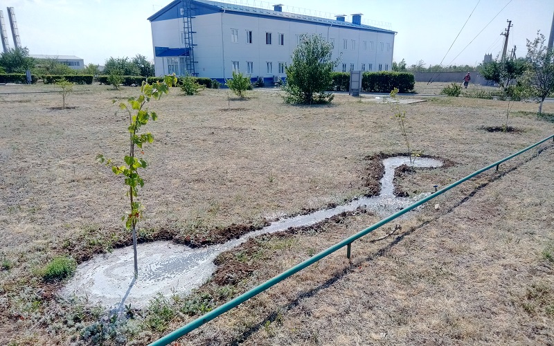 Орошение каналами