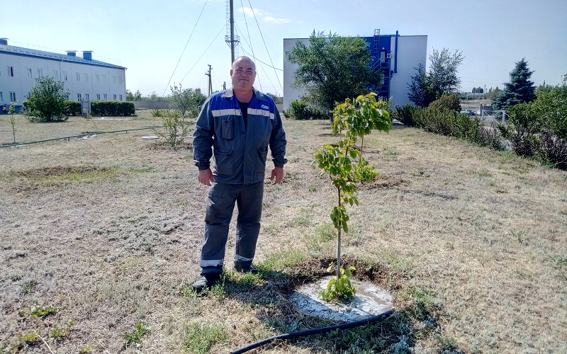 Дима Раков