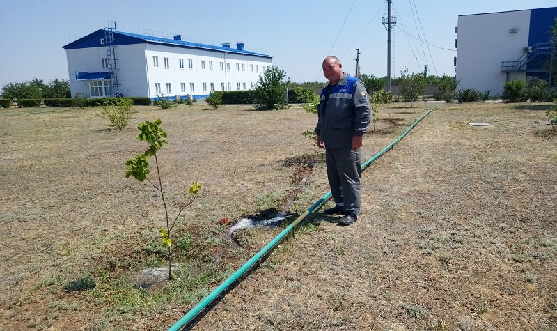 Дима Раков поливает саженцы